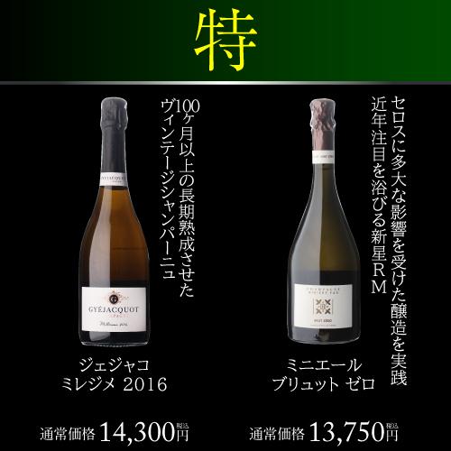 シャンパン 極の シャンパン福袋 1本46万円相当 雲上 シャンパーニュ