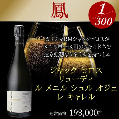 シャンパン 極の シャンパン福袋 1本46万円相当 雲上 シャンパーニュ