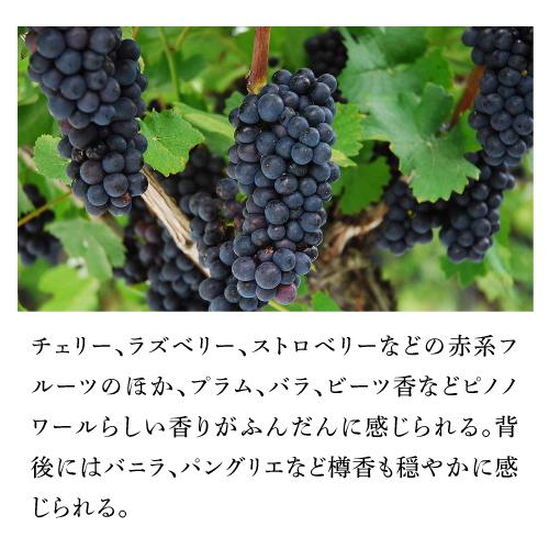 赤ワイン 京都丹波ピノノワール (2020) 辛口 日本ワイン 国産ワイン 長S 虎 手土産 お祝い ギフト | ブランド登録なし | 03