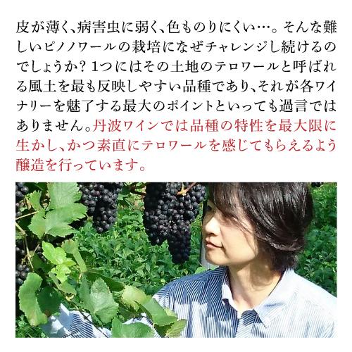 赤ワイン 京都丹波ピノノワール (2020) 辛口 日本ワイン 国産ワイン 長S 虎 手土産 お祝い ギフト | ブランド登録なし | 05