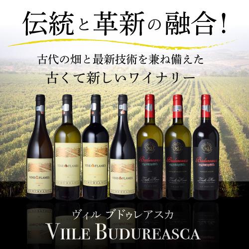 赤ワイン ヴァイン イン フレイム　カベルネ ソーヴィニヨン ヴィル ブドゥレアスカ 750ml ルーマニア 辛口 長S | ブランド登録なし | 01