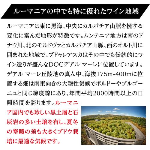 赤ワイン ヴァイン イン フレイム　カベルネ ソーヴィニヨン ヴィル ブドゥレアスカ 750ml ルーマニア 辛口 長S | ブランド登録なし | 04