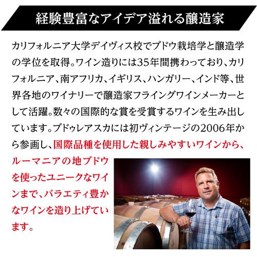 白ワイン ヴァイン イン フレイム　シャルドネ ヴィル ブドゥレアスカ 750ml ルーマニア 辛口 長S 手土産 お祝い ギフト | ブランド登録なし | 03