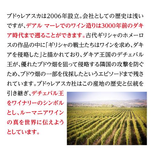 白ワイン ヴァイン イン フレイム　フェテアスカ レガーラ ヴィル ブドゥレアスカ 750ml ルーマニア 辛口 長S | ブランド登録なし | 02