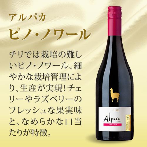 赤ワイン 12本 セット アルパカ ピノ ノワール サンタ ヘレナ 750ml ケース チリ セントラルヴァレー 1本あたり547円(税込) 送料無料 ITO | Alpaca | 03