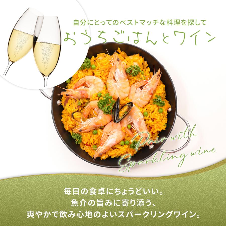 スパークリング ワインセット 泡 スペイン産 プロヴェット ブリュット