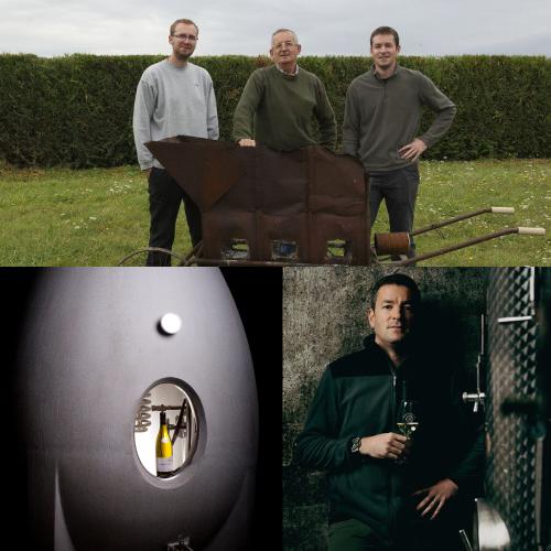 白ワイン セバスチャン ダンプ シャブリ プルミエ クリュ レ ブーニョン (2023) 750ml フランス ブルゴーニュ シャルドネ 辛口 浜運A |  | 05