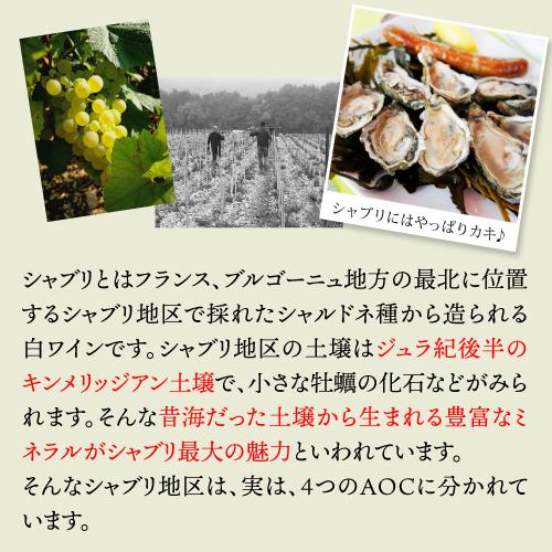 白ワイン セバスチャン ダンプ シャブリ プルミエ クリュ レ ブーニョン (2023) 750ml フランス ブルゴーニュ シャルドネ 辛口 浜運A |  | 08