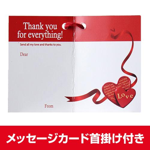 赤ワイン ナターレ ヴェルガ ラブ ロッソ 750ml フルボディ イタリア IGTヴェネト ハート ラベル 長S | ブランド登録なし | 02