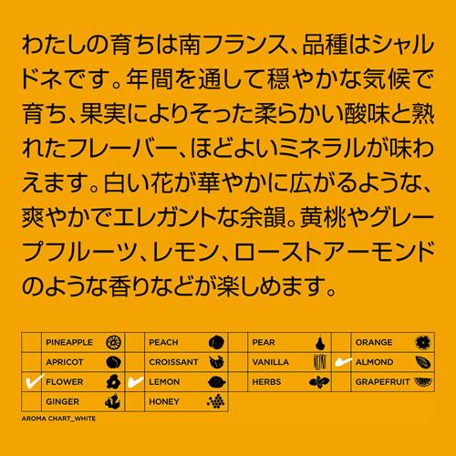 白ワイン ビコーズ アイム シャルドネ フロム サザン フランス 750ml 辛口 フランス  [長S]  手土産 お祝い ギフト | ブランド登録なし | 02