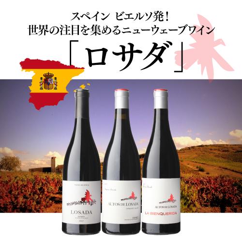 赤ワイン ブルゴーニュ アルトス デ ロサダ ビニェドス ビエホス (2021) ヴィーニョ デ フィンカ 750ml スペイン ビエルソ 浜運A | ブランド登録なし | 01