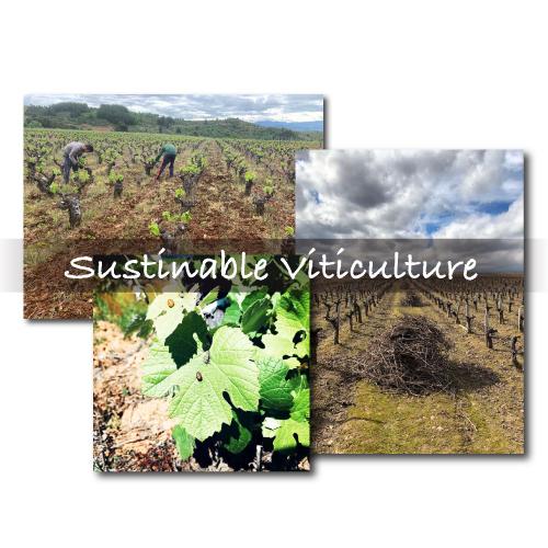 赤ワイン ブルゴーニュ アルトス デ ロサダ ビニェドス ビエホス (2021) ヴィーニョ デ フィンカ 750ml スペイン ビエルソ 浜運A | ブランド登録なし | 03