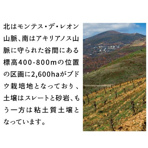 赤ワイン アルトス デ ロサダ ラ ビエンケリダ (2020) ヴィーニョ デ フィンカ 750ml スペイン ビエルソ メンシア 浜運 あすつく｜cellar｜08