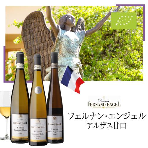 白ワイン 甘口 貴腐 ゲヴェルツトラミネール ヴァンダンジュ タルディヴ (2017) フェルナン エンジェル 750ml フランス アルザス | ブランド登録なし | 01