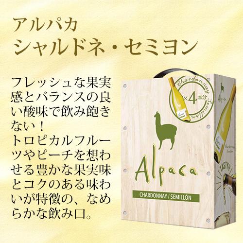 箱ワイン アルパカ シャルドネ セミヨン 3l Bib 3000ml チリ 白ワイン 辛口 Boxワイン バッグインボックス 長s お中元 敬老 御中元ギフト セラー専科paypayモール店 通販 Paypayモール