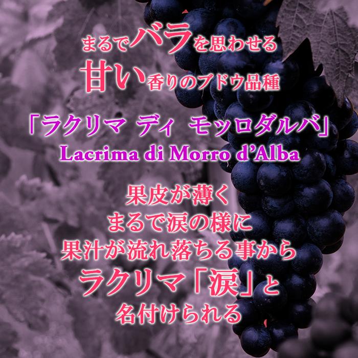 赤ワイン ラクリマ ディ モッロ ダルバ スペリオーレ ヴェレノージ 750ml イタリア マルケ フルボディ 辛口 長S 虎 | ブランド登録なし | 02