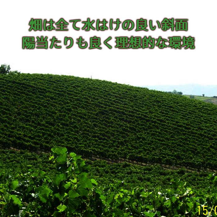 赤ワイン ラクリマ ディ モッロ ダルバ スペリオーレ ヴェレノージ 750ml イタリア マルケ フルボディ 辛口 長S 虎 | ブランド登録なし | 06