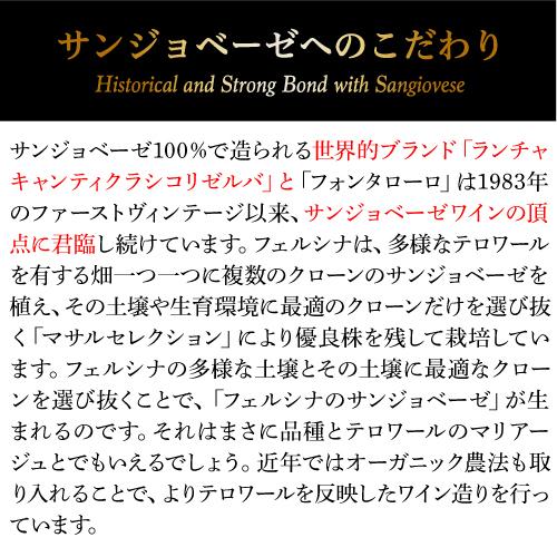 赤ワイン ベラルデンガ キャンティ クラシコ (2022) フェルシナ 750ml イタリア トスカーナ サンジョベーゼ D.O.C.G. 浜運A | ブランド登録なし | 11