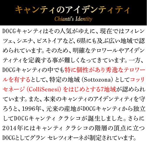赤ワイン ベラルデンガ キャンティ クラシコ (2022) フェルシナ 750ml イタリア トスカーナ サンジョベーゼ D.O.C.G. 浜運A | ブランド登録なし | 05