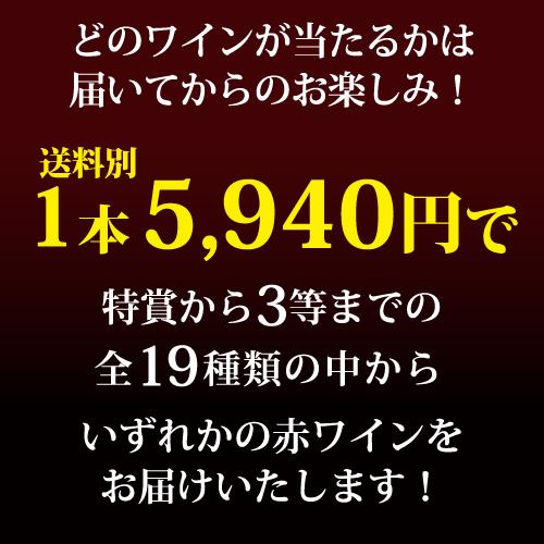 高級赤ワインを探せ スペシャル 赤ワインくじ プリューレ ロックが当たるかも ? 先着200セット 赤ワイン 福袋 Ｗくじ | ブランド登録なし | 03