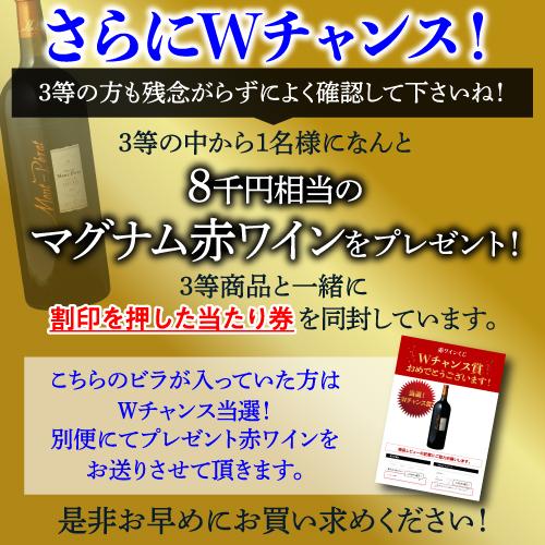 高級赤ワインを探せ スペシャル 赤ワインくじ プリューレ ロックが当たるかも ? 先着200セット 赤ワイン 福袋 Ｗくじ | ブランド登録なし | 04
