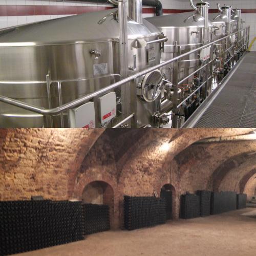 シャンパーニュ ミッシェル マイヤール キュヴェ モン ヴェルゴン プルミエ クリュ (2007) 750ml 1級 シャンパン コート デ ブラン 浜運A | ブランド登録なし | 07