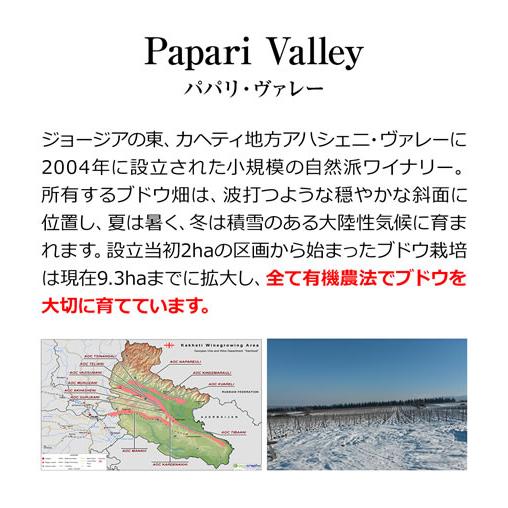 白ワイン ツー クヴェヴリ テラスズ チヌリ ルカツィテリ No.21 パパリ ヴァレー  750ml ジョージア グルジア 白 ワイン 辛口 長S | ブランド登録なし | 03