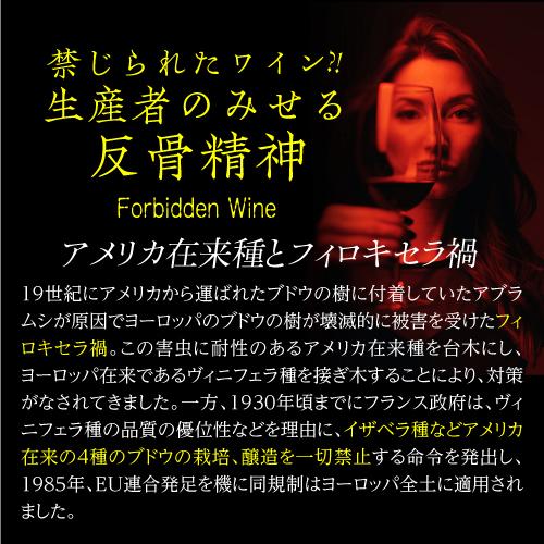 白ワイン ヴェルデーリョ オリジナル (2019) アソーレス ワイン カンパニー 750ml ポルトガル アソーレス 浜運A | ブランド登録なし | 11