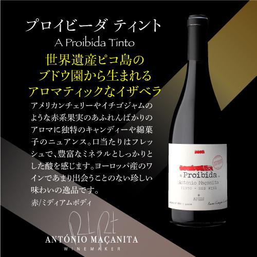 白ワイン ヴェルデーリョ オリジナル (2019) アソーレス ワイン カンパニー 750ml ポルトガル アソーレス 浜運A | ブランド登録なし | 14