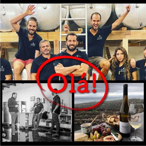 白ワイン ヴェルデーリョ オリジナル (2019) アソーレス ワイン カンパニー 750ml ポルトガル アソーレス 浜運A | ブランド登録なし | 15