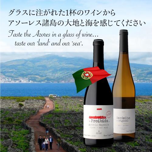 白ワイン ヴェルデーリョ オリジナル (2019) アソーレス ワイン カンパニー 750ml ポルトガル アソーレス 浜運A | ブランド登録なし | 01