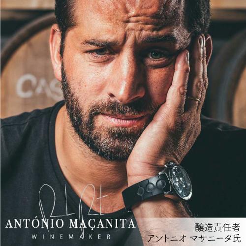 白ワイン ヴェルデーリョ オリジナル (2019) アソーレス ワイン カンパニー 750ml ポルトガル アソーレス 浜運A | ブランド登録なし | 02