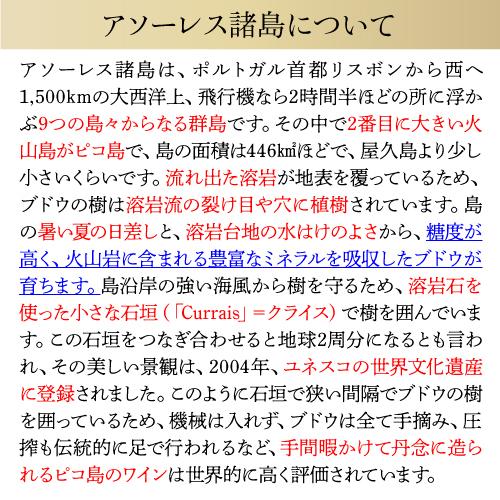 白ワイン ヴェルデーリョ オリジナル (2019) アソーレス ワイン カンパニー 750ml ポルトガル アソーレス 浜運A | ブランド登録なし | 05