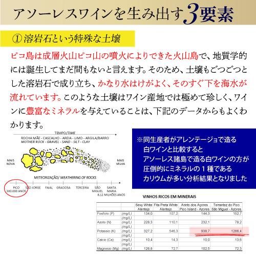 白ワイン ヴェルデーリョ オリジナル (2019) アソーレス ワイン カンパニー 750ml ポルトガル アソーレス 浜運A | ブランド登録なし | 07