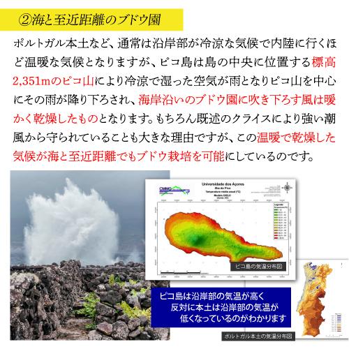 白ワイン ヴェルデーリョ オリジナル (2019) アソーレス ワイン カンパニー 750ml ポルトガル アソーレス 浜運A | ブランド登録なし | 08