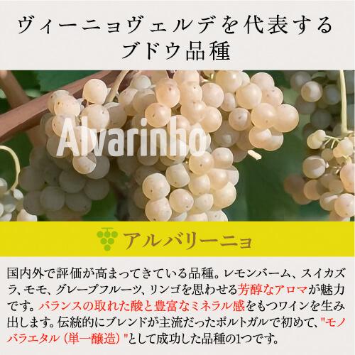 ヴィーニョ ヴェルデ ロウレイロ (2024) キンタ デ アマレス 750ml ポルトガル サクラアワード ダイヤモンドトロフィー 白ワイン 浜運A | ブランド登録なし | 12