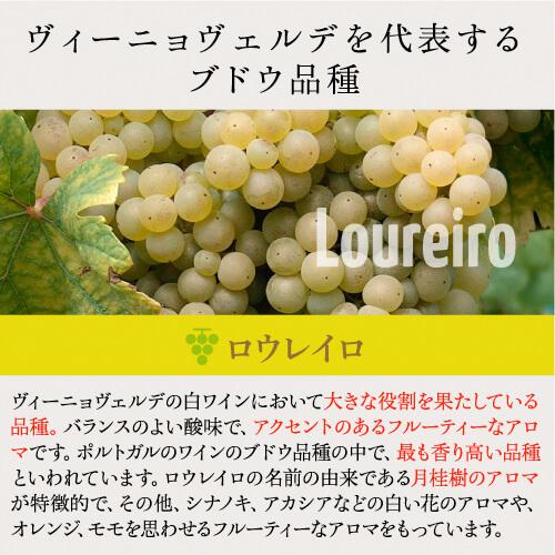 ヴィーニョ ヴェルデ ロウレイロ (2024) キンタ デ アマレス 750ml ポルトガル サクラアワード ダイヤモンドトロフィー 白ワイン 浜運A | ブランド登録なし | 13