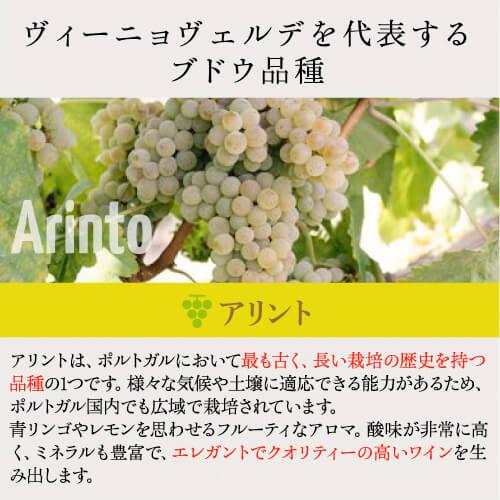 ヴィーニョ ヴェルデ ロウレイロ (2024) キンタ デ アマレス 750ml ポルトガル サクラアワード ダイヤモンドトロフィー 白ワイン 浜運A | ブランド登録なし | 14