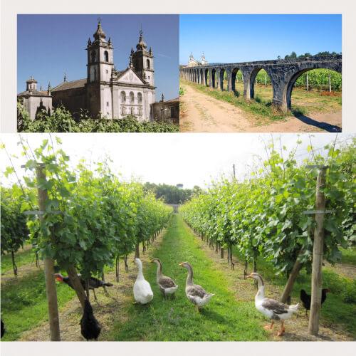 ヴィーニョ ヴェルデ ロウレイロ (2024) キンタ デ アマレス 750ml ポルトガル サクラアワード ダイヤモンドトロフィー 白ワイン 浜運A | ブランド登録なし | 08