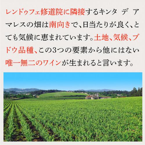 ヴィーニョ ヴェルデ ロウレイロ (2024) キンタ デ アマレス 750ml ポルトガル サクラアワード ダイヤモンドトロフィー 白ワイン 浜運A | ブランド登録なし | 09