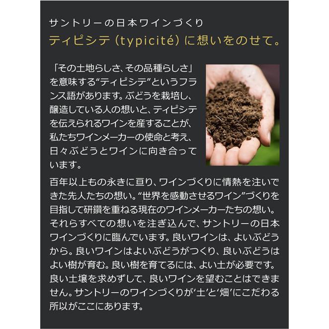 登美 ノーブルドール ハーフ 2010 登美の丘ワイナリー 375ml 日本 国産 リースリング イタリコ 日本ワイン 貴腐ワイン 甘口 サントリー 白ワイン 虎姫 375ml リースリング