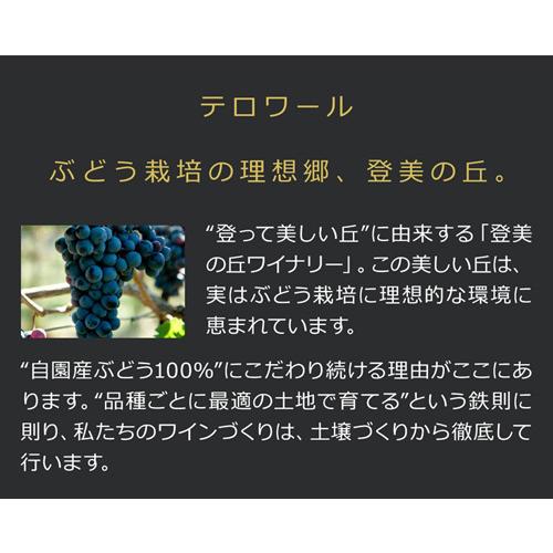 登美 ノーブルドール ハーフ 2010 登美の丘ワイナリー 375ml 日本 国産 リースリング イタリコ 日本ワイン 貴腐ワイン 甘口 サントリー 白ワイン 虎姫 375ml リースリング