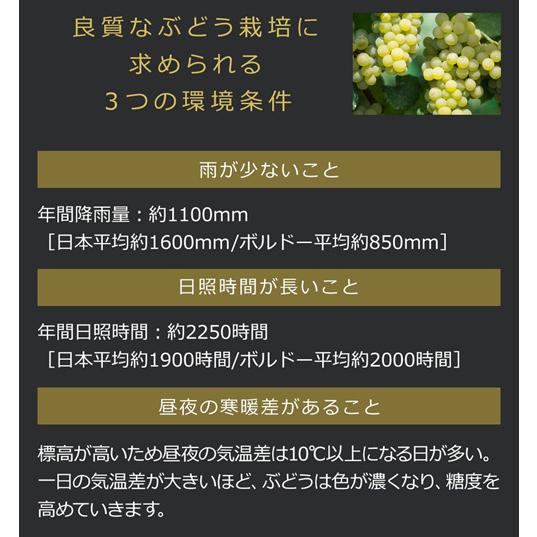 登美 ノーブルドール ハーフ 2010 登美の丘ワイナリー 375ml 日本 国産 リースリング イタリコ 日本ワイン 貴腐ワイン 甘口 サントリー 白ワイン 虎姫 375ml リースリング