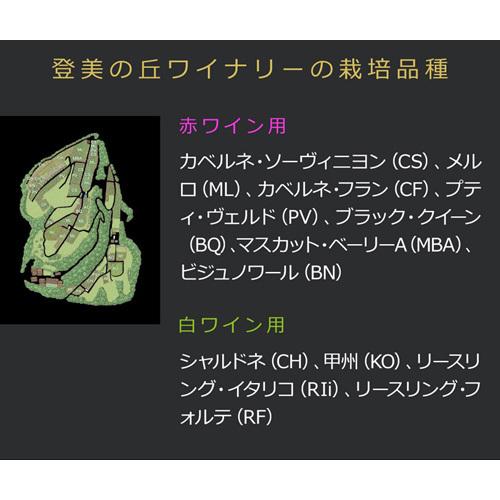 登美 ノーブルドール ハーフ 2010 登美の丘ワイナリー 375ml 日本 国産 リースリング イタリコ 日本ワイン 貴腐ワイン 甘口 サントリー 白ワイン 虎姫 375ml リースリング
