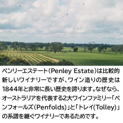 赤ワイン イオス シラーズ カベルネ (2018) ペンリーエステート 750ml オーストラリア クナワラ エオス 浜運 | ブランド登録なし | 03