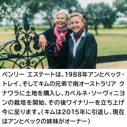 赤ワイン フェニックス カベルネ ソーヴィニヨン (2021) ペンリーエステート 750ml オーストラリア クナワラ 長S | ブランド登録なし | 03