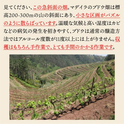 酒精強化 ワイン ベレムズ マデイラ ワイン スペシャル ドライ セッコ 750ml ポルトガル ティンタ ネグラ 長S | ブランド登録なし | 13