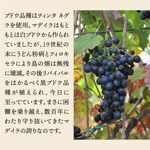 酒精強化 ワイン ベレムズ マデイラ ワイン スペシャル ドライ セッコ 750ml ポルトガル ティンタ ネグラ 長S | ブランド登録なし | 14