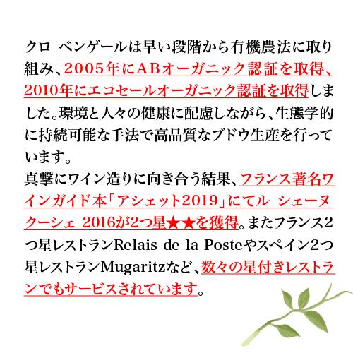白ワイン ル シェーヌ クーシェ ジュランソン モアルー ビオ (2018) クロ ベンゲール 750ml フランス 南西地方 甘口 浜運A | ブランド登録なし | 04