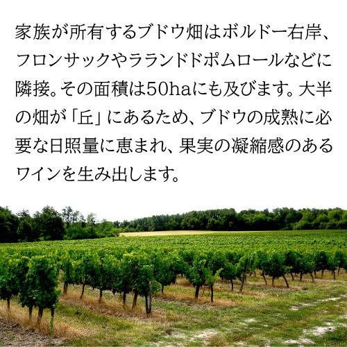 白ワイン グラン ベロ ボルドー ブラン (2023) or (2024) フレデリック ベロ 750ml フランス ボルドー ソーヴィニヨン ブラン 浜運 | ブランド登録なし | 13